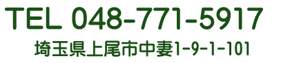 TEL048-771-5917 上尾市中妻の整体